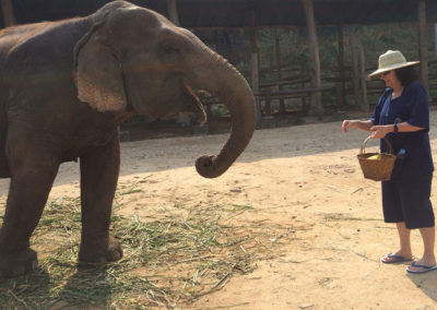 thailand-heritage-journey-elephant-camp
